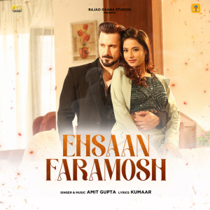 Album Ehsaan Faramosh from Amit Gupta