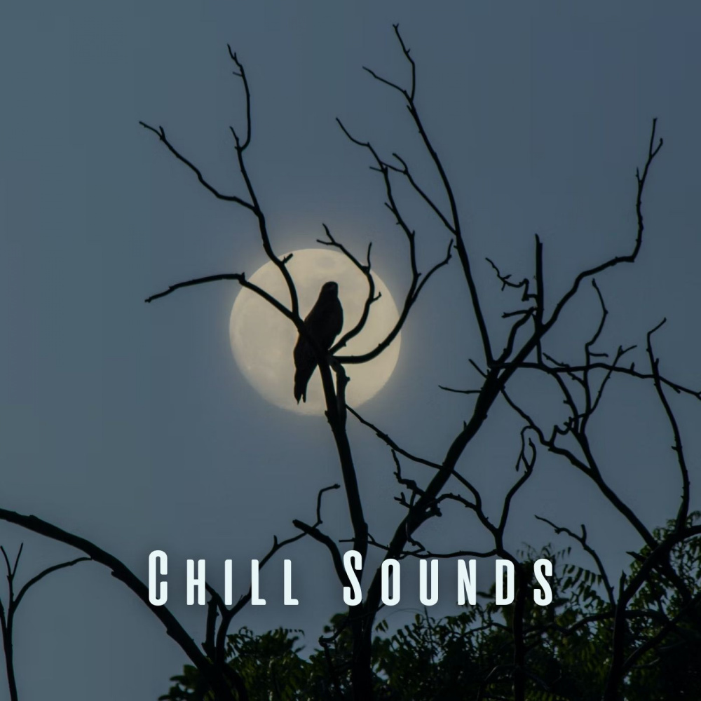 Melodic Slumber Wings