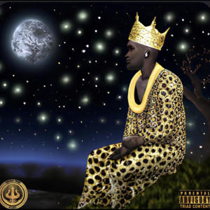 Shabaam Sahdeeq的專輯Stars in Alignment (Explicit)