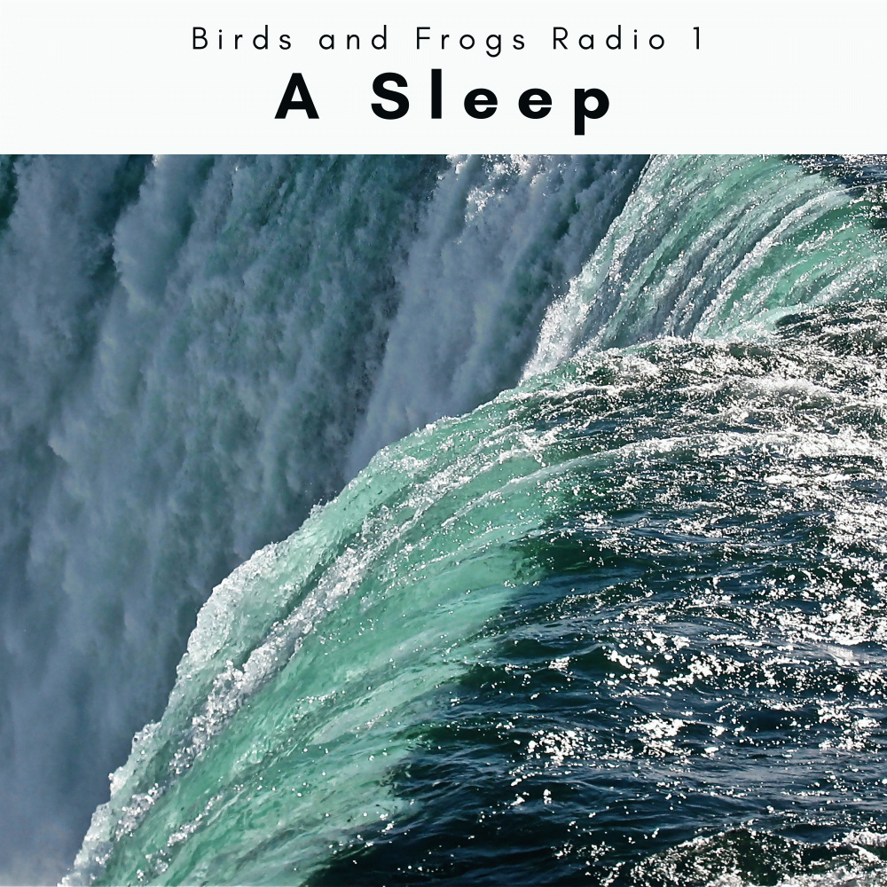 Top Meditation Noise for Profound Sleep