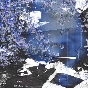 Listen to Sakura (8453music Remix) song with lyrics from Evans & Kamm