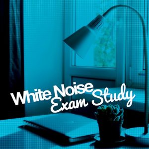 ดาวน์โหลดและฟังเพลง White Noise: White Noise พร้อมเนื้อเพลงจาก Outside Broadcast Recordings