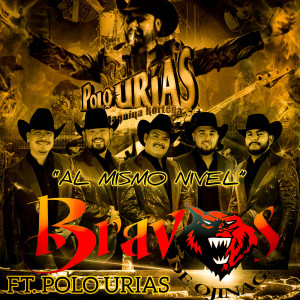 Listen to Al Mismo Nivel song with lyrics from Bravos de Ojinaga
