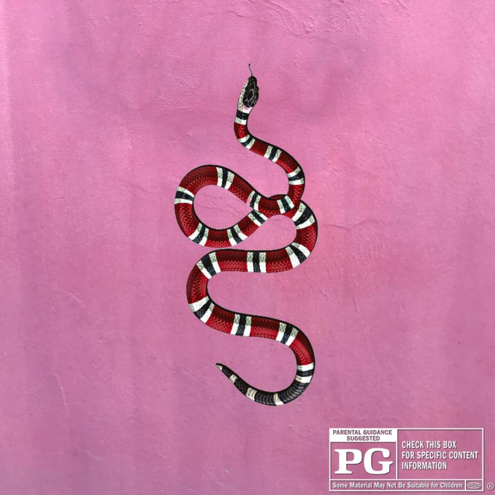 Gucci (feat. Richi Rich) (Explicit)