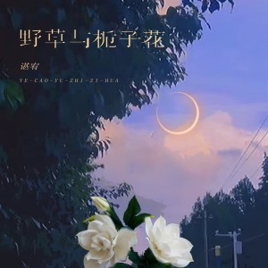 ดาวน์โหลดและฟังเพลง 野草与栀子花 พร้อมเนื้อเพลงจาก 谌宥