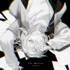 收聽Unnamed的Tot Musica (Cover)歌詞歌曲