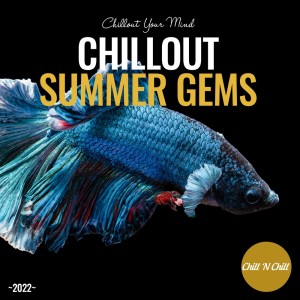 收听Chillson的Don't Look Back in Anger歌词歌曲