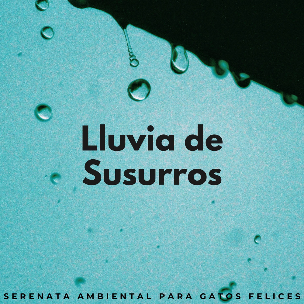 Serenata De Lluvia Perfecta