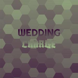 Various Artists的專輯Wedding Charge