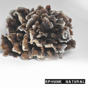 Sphunk的專輯Natural