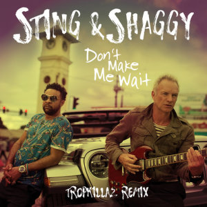 收聽Sting的Don't Make Me Wait (Tropkillaz Remix)歌詞歌曲
