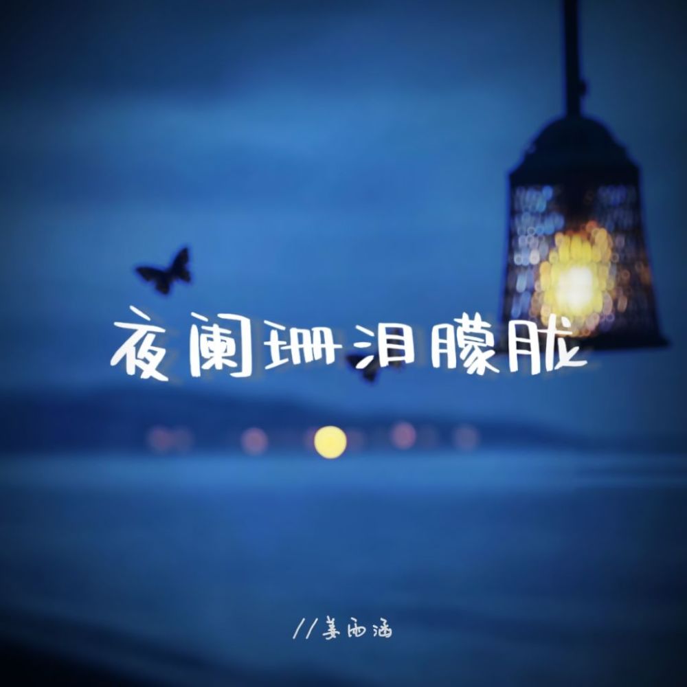 夜阑珊泪朦胧