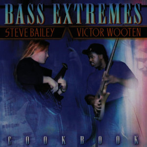 ดาวน์โหลดและฟังเพลง Madonna Lee พร้อมเนื้อเพลงจาก Steve Bailey