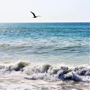 Listen to Emotions song with lyrics from SPA