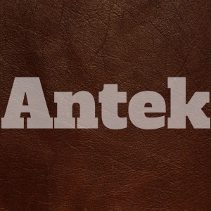 Dengarkan Leather lagu dari Antek dengan lirik