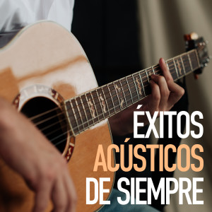 ดาวน์โหลดและฟังเพลง Lagrimas De Agua Salada (Acustico) พร้อมเนื้อเพลงจาก Ely Guerra