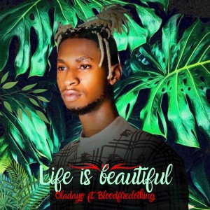 ดาวน์โหลดและฟังเพลง Life is Beautiful พร้อมเนื้อเพลงจาก Oladayo