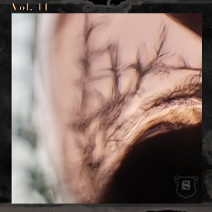 Various Artists的專輯Seippelabel Vol. 11