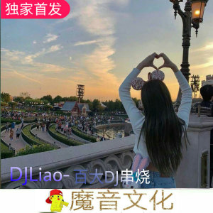 Listen to 2020电音节百大EDM电子串烧 song with lyrics from DJLiao