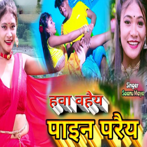 Album Hawa Bahey Pain Parey from 