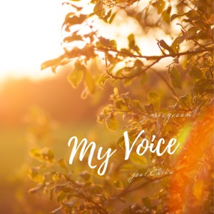 Listen to My Voice song with lyrics from micgreen