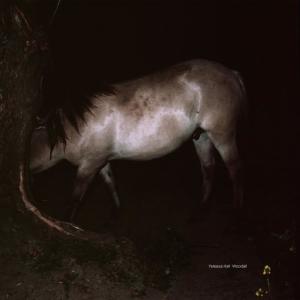 Listen to B2 Woodall 0301 song with lyrics from Yaleesa Hall