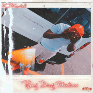 Listen to Big Dog Status (Explicit) song with lyrics from KJ Kartel