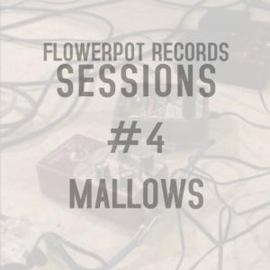 的專輯Flowerpot Records Sessions #3: Mallows