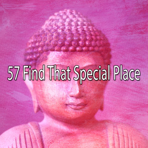 Listen to Spiritually Appealing song with lyrics from Meditation