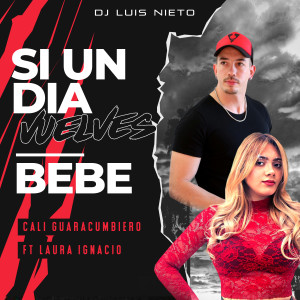 Album Si un Día Vuelves / Bebé from Cali Guaracumbiero