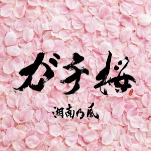 湘南乃风的专辑Gachizakura