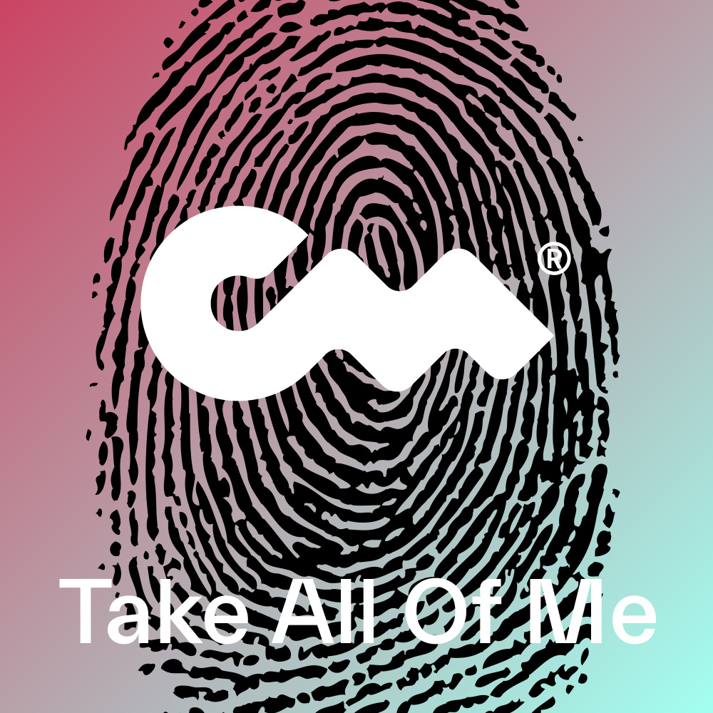Take All Of Me