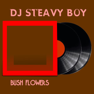 DJ Steavy Boy的專輯Color Blind