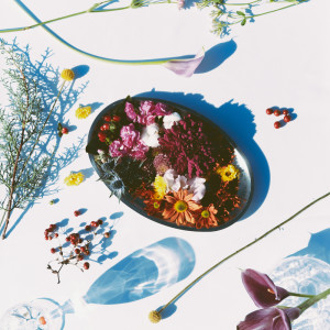 Listen to ランデヴー song with lyrics from shy taupe