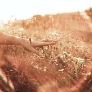 ดาวน์โหลดและฟังเพลง Remembered Words พร้อมเนื้อเพลงจาก Hollie Kenniff