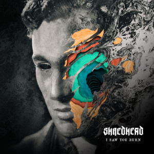 ดาวน์โหลดและฟังเพลง Risk Of Rain (Explicit) พร้อมเนื้อเพลงจาก Shredhead