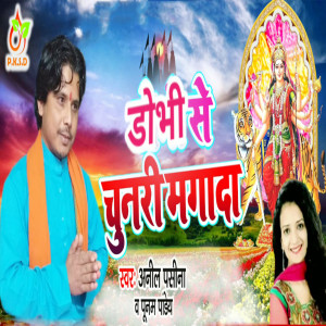 Listen to Dhobhi Se Chunari Manga Da song with lyrics from Anil Pasina