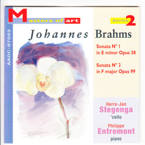 Herre-Jan Stegenga的專輯Johannes Brahms
