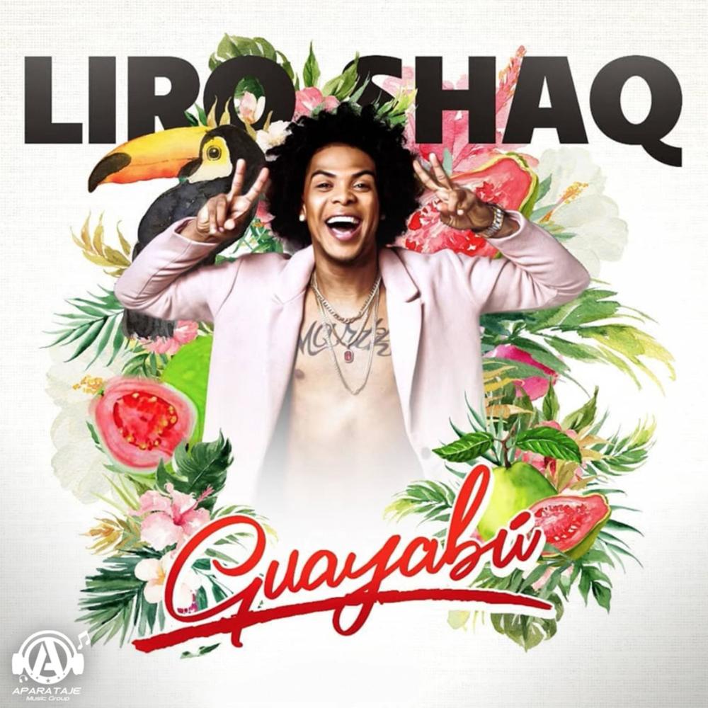 Guayabu