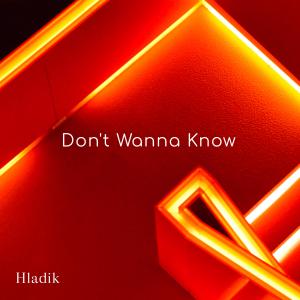Dengarkan lagu Don't Wanna Know (feat. Gulsah) nyanyian Hladik dengan lirik