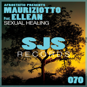 Listen to Sexual Healing (Radio Edit) song with lyrics from Mauriziotto