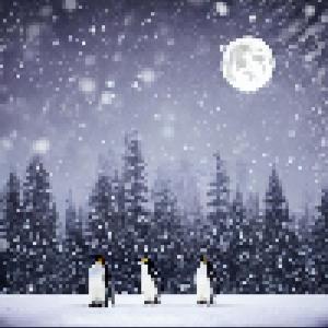 Penguin Boyz的專輯Winter Wonderland (Explicit)