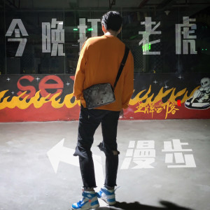Listen to 漫步 (正式版) song with lyrics from 今晚打老虎