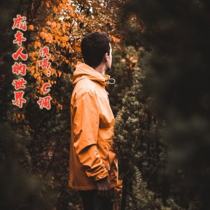 收聽C調的成年人的世界歌詞歌曲