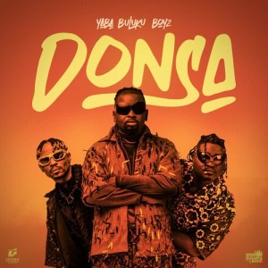 Album Donsa from Yaba Buluku Boyz
