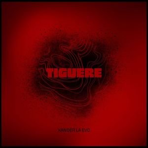Listen to Tiguere song with lyrics from Xander La Evo