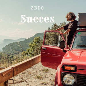 Album Succes oleh Zedo