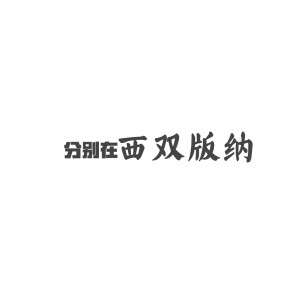 Listen to 分别在西双版纳 song with lyrics from 攀娘