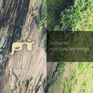 ดาวน์โหลดและฟังเพลง Reassured พร้อมเนื้อเพลงจาก Jani R