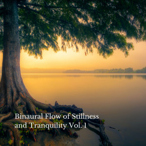 Binaural Landscapes的專輯Binaural Flow of Stillness and Tranquility Vol. 1